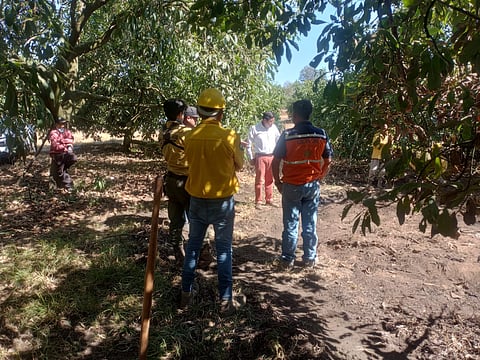 Primera hipótesis descarta actividad volcánica en Uruapan tras surgimiento de vapores