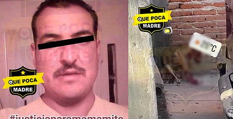Por robar un pollo, perrita es asesinada a machetazos en Aguascalientes