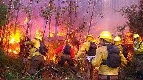 Morelia registra 62 incendios forestales en lo que va del año