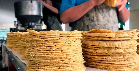 En Morelia, kilo de tortilla cuesta 20 pesos; de los precios más bajos del país, según Profeco