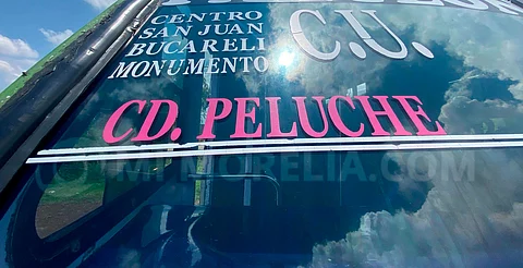 ¿Dónde queda? Así es Ciudad Peluche, la colonia de Morelia que podría desaparecer
