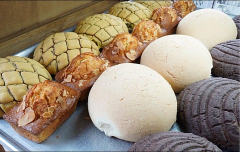 Llegan las conchas de Oreo a Morelia en estos días lluviosos