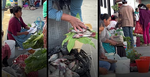 VIDEO: así se ve el trueque en nuevo mercado de Pátzcuaro, Michoacán