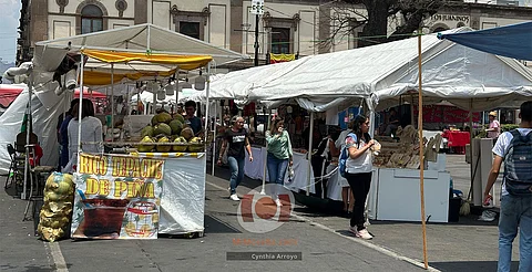 Municipio no ha autorizado instalación de ambulantes en plantón frente a Palacio de Gobierno