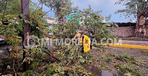 Un muerto, árboles caídos y encharcamientos, tras fuerte tormenta que azotó a Zamora