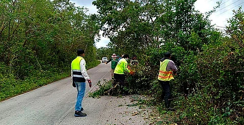 Activan alerta en Michoacán por tormenta Alvin; SICT refuerza carreteras