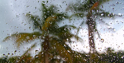 Tormenta Alvin se forma en el Pacífico; traerá lluvias y oleaje fuerte a Michoacán