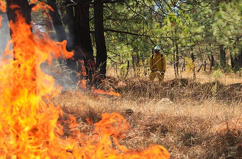 Michoacán supera los 600 incendios forestales acumulados