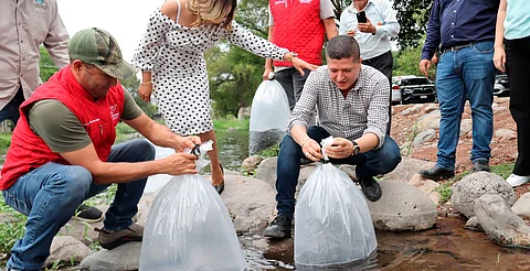 Vicente Gómez promueve siembra de tilapia en el Distrito XIX