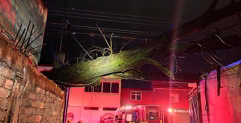 Fuertes lluvias causan múltiples incidentes en Morelia; ríos permanecen en niveles bajos: PC Municipal