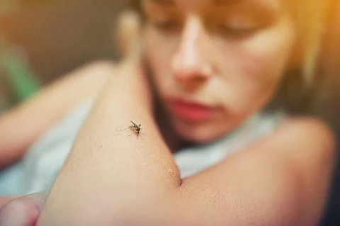 Michoacán reporta 321 casos de dengue en 2025; serotipo 3 predomina