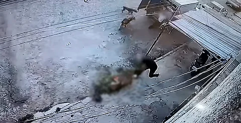 Detienen a sujeto que golpeó y mató a un perro en Jalisco