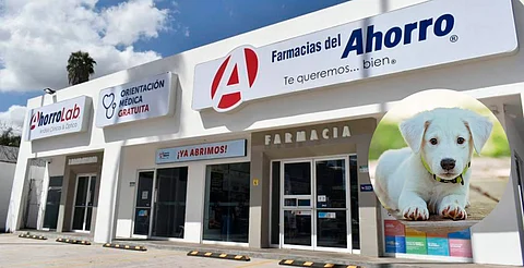 ¡También para los lomitos! Farmacias del Ahorro lanza servicio veterinario gratuito