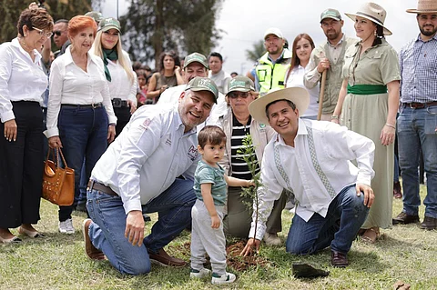 Inicia Bedolla reforestación en Uruapan; la meta, 10 millones de árboles en Michoacán