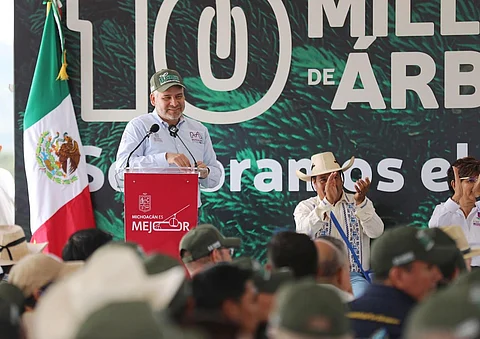 Por aire se lanzarán semillas para reforestar 50 mil hectáreas de bosques: Bedolla