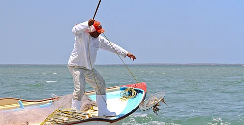Procesan en EU a pescadores de Tamaulipas por capturar huachinango