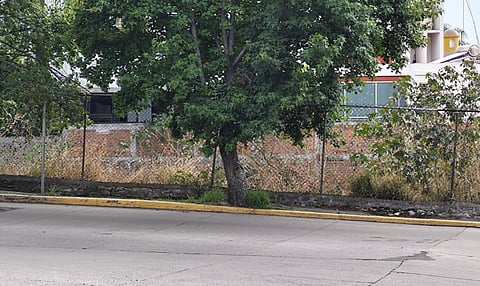 Tiene TEEM dos terrenos en comodato para iniciar proyecto de inmueble propio