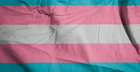Urge legislar los transfeminicidios: Eliza Valencia