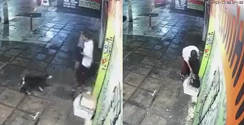 Hombre roba cobija a perrito en situación de calle, en CDMX
