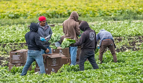Sin reportes de morelianos deportados en redadas recientes: Dirección del Migrante Municipal