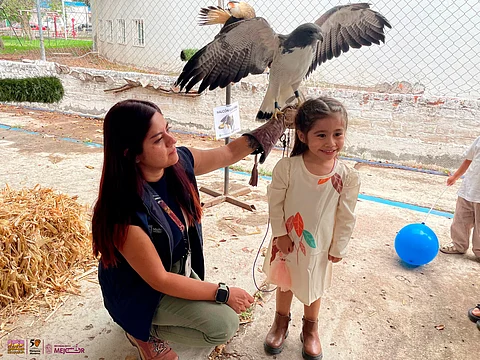 Tirolesa y capibaras: Así será el último viernes de Aula Viva en el Zoológico de Morelia