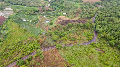 SCOP rehabilita tramo carretero Miguel Silva-Nuevo Urecho-Gabriel Zamora