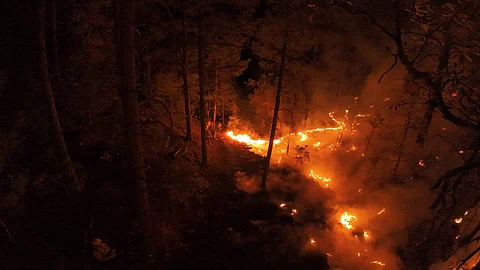 Michoacán reduce impacto de incendios: sale del top 10 de estados con más superficie afectada