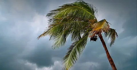 ¿Viene tormenta? Alertan por otro posible desarrollo ciclónico en el Pacífico