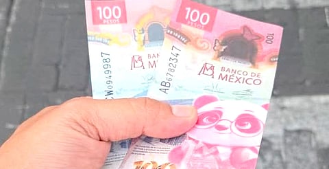 Distribuir billetes falsos puede implicar hasta 12 años de prisión, según la ley