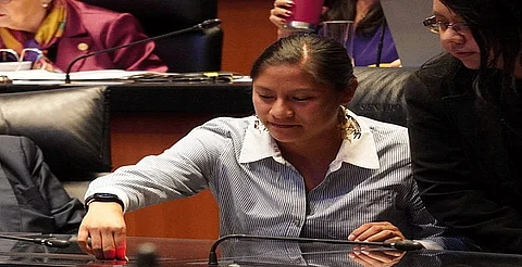 Celeste Ascencio a favor de la biodiversidad, la vida silvestre y la memoria de las mujeres en la historia de México