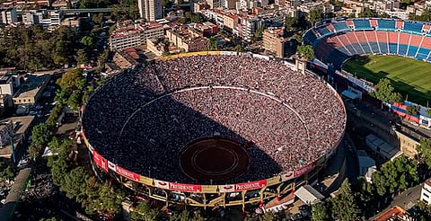 Toro de lidia en riesgo de extinción tras reforma antitaurina, advierte "La México"