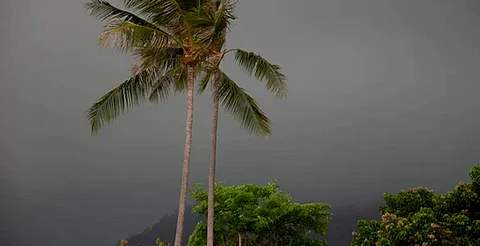 Posible ciclón tropical se formaría este fin de semana frente a Oaxaca y Chiapas