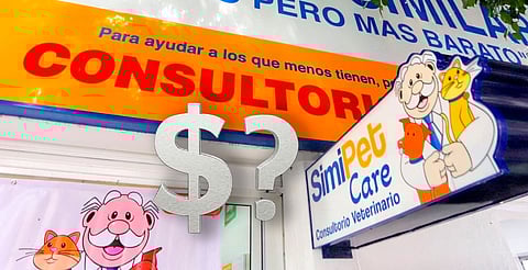 Servicios incluyen desde vacunas hasta certificados de viaje para mascotas