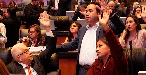 Senado avanza contra el lavado de dinero: Celeste Ascencio