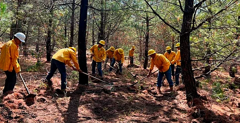 Michoacán cierra temporada de incendios con más de 62 mil hectáreas de bosque rescatadas