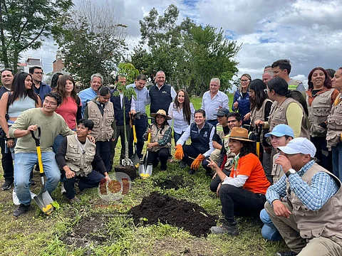 Inicia en Morelia temporada de reforestación 2025