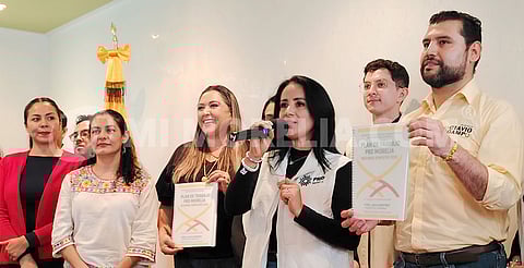 PRD Morelia estará en territorio y no atrás del escritorio: Lucila Martínez