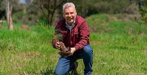 Para cuencas de ríos y lagos, 4 de cada 10 árboles plantados en Michoacán: Bedolla
