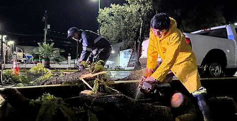 Lluvias fuertes causan caída de árbol y estructura metálica en Morelia