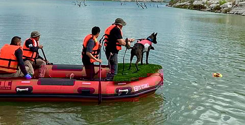 EE.UU. agradece a México por apoyo en labores de rescate en Texas