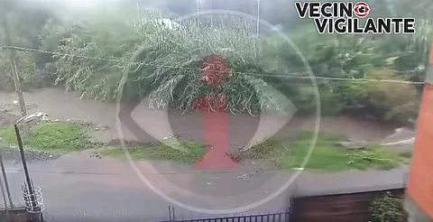 VIDEO: Se desborda río Cupatitzio en Uruapan, Michoacán