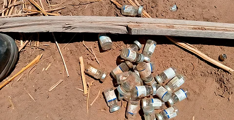 Tiran 458 envases de vacunas en terreno baldío de Juárez; investigan riesgo sanitario