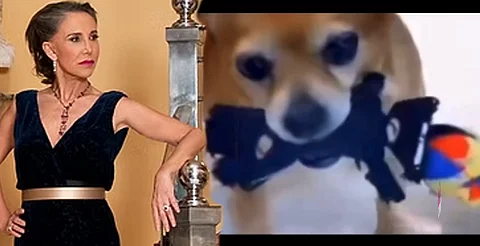 VIDEO: perro de Florinda Meza juega con peluche de Quico
