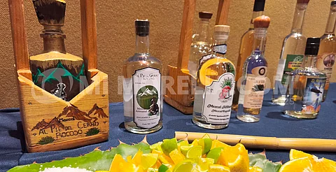 Por sobreproducción, Sader impulsa certificación del mezcal de Michoacán