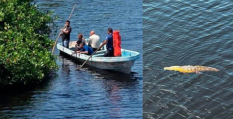 Reportan caída de menor a río con cocodrilos en Lázaro Cárdenas; activan búsqueda