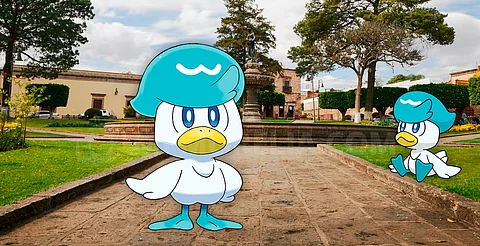 ¡Entrenador, prepárate! Quaxly aterriza en Morelia este Día de la Comunidad