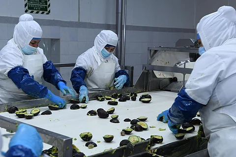 Parque Bajío impulsará sectores de agroindustria, autopartes y logística: Sedeco