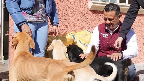 Animalistas se suman a respaldo a Carlos Torres Piña rumbo a la Fiscalía General de Michoacán