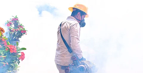 Casos de dengue disminuyen un 76 % por acciones de prevención