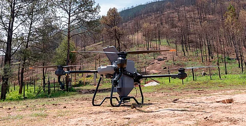 Así es la innovadora técnica de reforestación con drones para recuperar bosques michoacanos